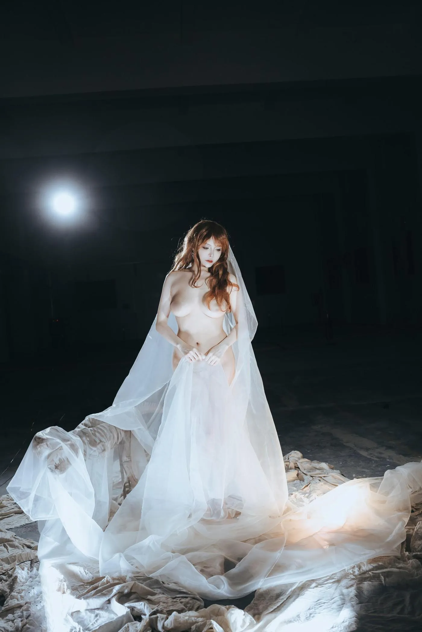 秋和柯基 – NO.102 纱 [66P]插图5